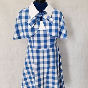 ModCloth Gingham Picnic Dress with Mini Cape
